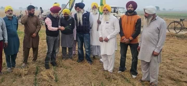 ਕਣਕ ਦੀ ਫ਼ਸਲ ਨੂੰ ਕੀੜਿਆਂ ਤੋਂ ਬਚਾਉਣ ਲਈ ਸਿਫਾਰਸ਼ਸ਼ੁਦਾ ਕੀਟਨਾਸ਼ਕ ਹੀ ਵਰਤੇ ਜਾਣ – ਡਾ.ਅਮਰੀਕ ਸਿੰਘ