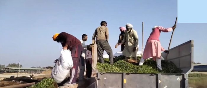 ਰੱਤਾ ਟਿੱਬਾ ਗਊਸ਼ਾਲਾ ਵਿੱਚ ਮੁਕਤਸਰ ਤੋਂ ਦਾਨੀਆਂ ਨੇ ਭੇਜਿਆ ਰਾਸ਼ਨ ਅਤੇ ਪੱਠੇ