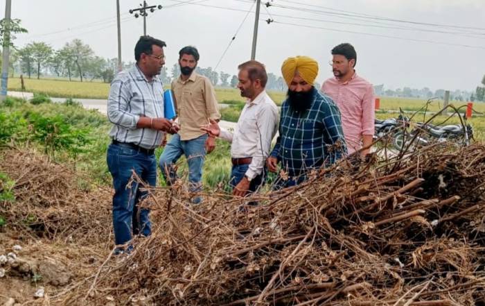 ਸੰਯੁਕਤ ਡਾਇਰੈਕਟਰ ਖੇਤੀਬਾੜੀ ਵੱਲੋਂ ਨਰਮੇਂ ਦੀ ਫ਼ਸਲ ਤੇ ਚਿੱਟੀ ਮੱਖੀ ਅਤੇ ਗੁਲਾਬੀ ਸੁੰਡੀ ਦੇ ਹਮਲੇ ਦੀ ਰੋਕਥਾਮ ਸਬੰਧੀ ਦਿਸ਼ਾ ਨਿਰਦੇਸ਼ ਜਾਰੀ