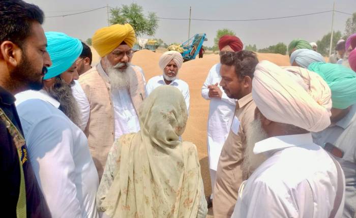 ਵਿਧਾਇਕ ਗੁਰਦਿੱਤ ਸਿੰਘ ਸੇਖੋਂ ਨੇ ਜੰਡ ਸਾਹਿਬ ਵਿਖੇ ਕਣਕ ਦੀ ਖਰੀਦ ਸ਼ੁਰੂ ਕਰਵਾਈ
