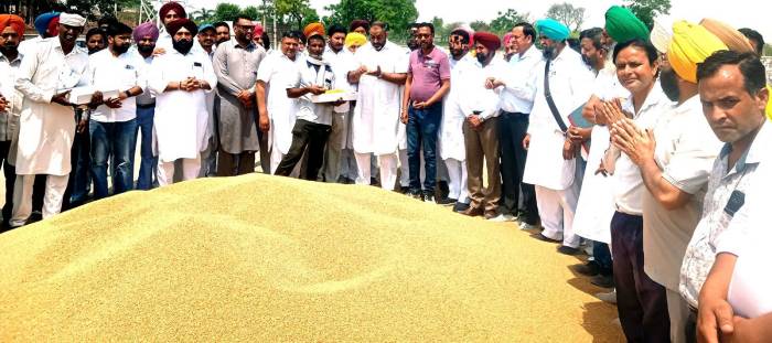 ਸੰਦੀਪ ਸਿੰਘ ਸੰਨੀ ਢਿੱਲੋਂ ਵੱਲੋਂ ਕਣਕ ਦੀ ਸਰਕਾਰੀ ਖ਼ਰੀਦ ਸ਼ੁਰੂ ਕਰਵਾਈ
