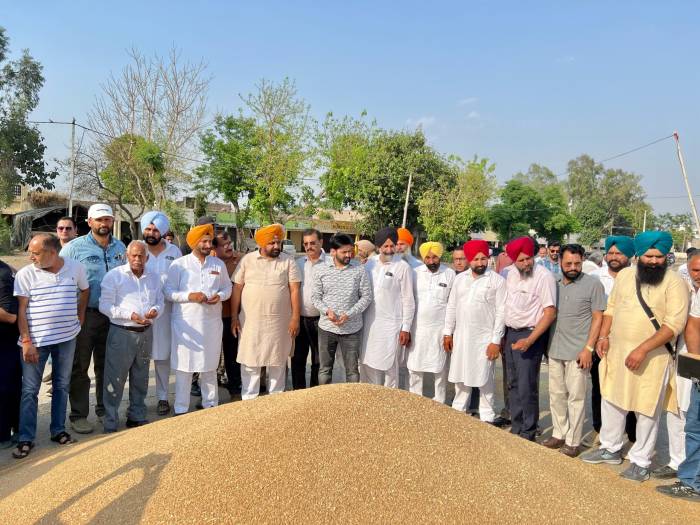 ਵਿਧਾਇਕ ਸ. ਰਣਬੀਰ ਸਿੰਘ ਭੁੱਲਰ ਨੇ ਦਾਣਾ ਮੰਡੀ ਫਿਰੋਜ਼ਪੁਰ ਸ਼ਹਿਰ ਵਿਖੇ ਕਣਕ ਦੀ ਸਰਕਾਰੀ ਖ਼ਰੀਦ ਸ਼ੁਰੂ ਕਰਵਾਈ