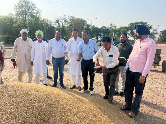 ਭੀਖੀ ਮੰਡੀ ਵਿਖੇ ਚੇਅਰਮੈਨ ਵਰਿੰਦਰ ਸੋਨੀ ਨੇ  ਕਣਕ ਦੀ ਬੋਲੀ ਕਰਵਾਈ ਸ਼ੁਰੂ