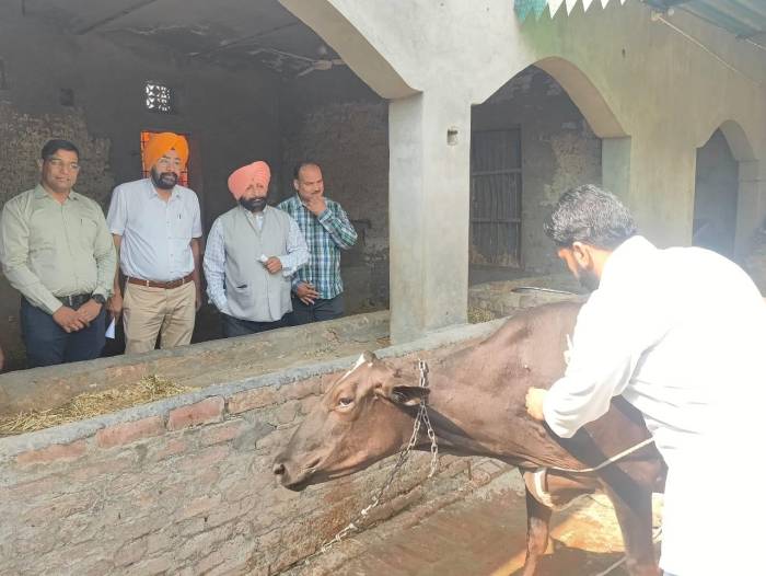 ਪਸ਼ੂਆਂ ਨੂੰ ਮੂਹ ਖੁਰ ਬੀਮਾਰੀ ਤੋਂ ਬਚਾਉਣ ਲਈ ਰਾਜ ਪੱਧਰੀ ਟੀਕਾਕਰਨ ਮੁਹਿੰਮ ਦਾ ਕੀਤੀ ਮੰਤਰੀ ਖੁੱਡਿਆਂ ਨੇ ਸ਼ੁਰੂਆਤ