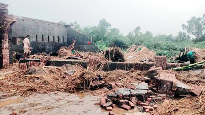 ਪਿੰਡ ਕਾਨਿਆਂਵਾਲੀ ਵਿਖੇ ਤੇਜ ਬਾਰਿਸ਼ ਕਾਰਨ ਸ਼ੈੱਡ ਡਿੱਗਣ ਨਾ ਦੋ ਮੱਝਾਂ ਦੀ ਮੌਤ