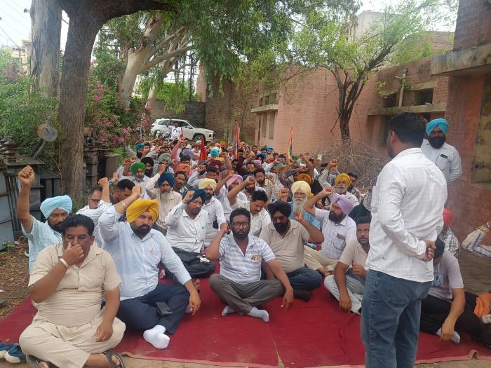 ਬਿਜਲੀ ਕਾਮਿਆਂ ਵੱਲੋਂ ਸਫ਼ਲ ਹੜਤਾਲ ਕਰਕੇ ਮੁਲਕ ਪੱਧਰੀ ਹੜਤਾਲ ਨਾਲ ਪ੍ਰਗਟਾਈ ਇੱਕਮੁੱਠਤਾ 