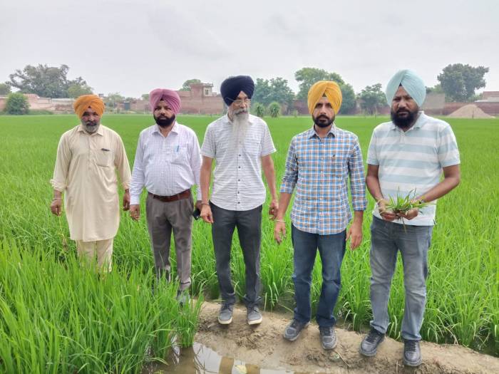 ਕਿਸਾਨਾਂ ਨੂੰ ਫ਼ਸਲਾਂ ਸਬੰਧੀ ਆ ਰਹੀਆਂ ਮੁਸ਼ਕਿਲਾਂ ਦੇ ਹੱਲ ਲਈ ਪੈਸਟ ਸਰਵੇਲੈਂਸ ਟੀਮਾਂ ਦਾ ਗਠਨ : ਡਾ. ਕੁਲਵੰਤ ਸਿੰਘ