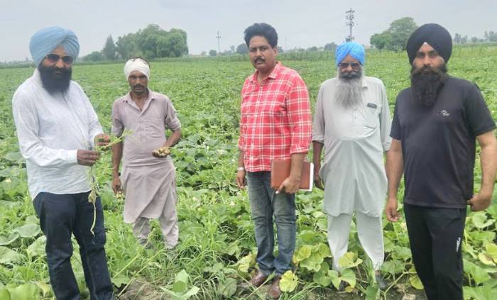 ਖੇਤੀ ਵਿਭਿੰਨਤਾ ਤਹਿਤ ਪਿੰਡ ਲੰਡੇ ਰੋਡੇ ਦੇ ਕਿਸਾਨ ਨੇ ਸ਼ੁਰੂ ਕੀਤੀ ਸਬਜ਼ੀਆਂ ਦੀ ਕਾਸ਼ਤ