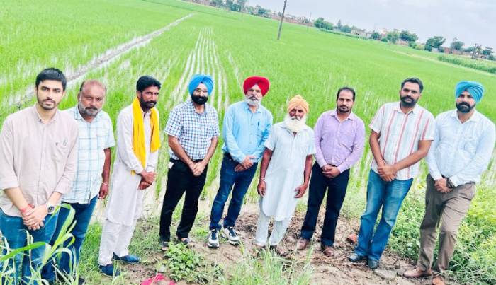 ਝੋਨੇ ਦੀ ਸਿੱਧੀ ਬਿਜਾਈ ਦੇ ਪ੍ਰਬੰਧਨ ਤਰੀਕਿਆਂ ਉੱਤੇ ਕਿਸਾਨ-ਸਾਇੰਸਦਾਨ ਮਿਲਣੀ