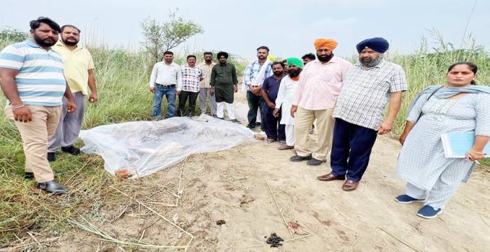 ਪਿੰਡ ਵਿਰਕ ਖੇੜਾ ’ਚ ਦੋ ਗਰਭਵਤੀ ਨੀਲ ਗਊਆਂ ਦੀ ਹੱਤਿਆ, ਲੋਕਾਂ ’ਚ ਰੋਸ ਦੀ ਲਹਿਰ