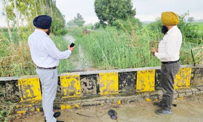 ਨਰਮੇਂ ਦੀ ਫ਼ਸਲ ਵਿੱਚ ਪਾਣੀ ਦੀ ਨਿਕਾਸੀ ਜ਼ਰੂਰੀ : ਮੁੱਖ ਖੇਤੀਬਾੜੀ ਅਫ਼ਸਰ