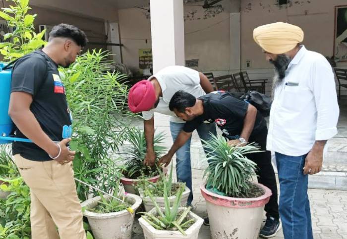 ਡੇਂਗੂ ਤੋਂ ਬਚਣ ਲਈ ਬਰਸਾਤਾਂ ਦੋਰਾਨ ਘਰਾਂ ਵਿਚ ਅਤੇ ਛੱਤਾ ਤੇ ਪਾਣੀ ਖੜਾ ਨਾ ਹੋਣ ਦਿੱਤਾ ਜਾਵੇ: ਡਾ. ਜਗਦੀਪ ਚਾਵਲਾ ਸਿਵਲ ਸਰਜਨ