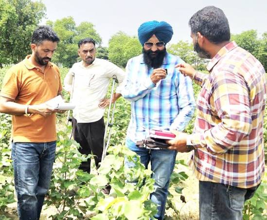 ਨਰਮੇਂ ਦੀ ਫ਼ਸਲ ਦਾ ਰੋਜ਼ਾਨਾ ਸਰਵੇਖਣ ਕਰਨ ਦੀ ਲੋੜ: ਮੁੱਖ ਖੇਤੀਬਾੜੀ ਅਫ਼ਸਰ