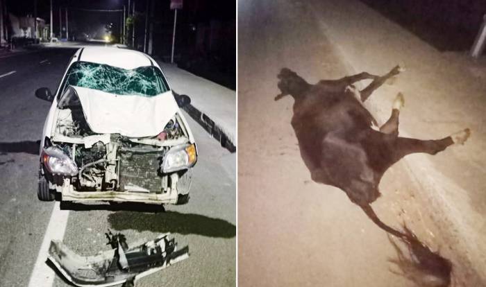 ਜੇਕਰ ਰੋਡ ਤੇ ਟੋਲ ਟੈਕਸ ਭਰਦੇ ਹਾਂ ਤਾਂ ਫਿਰ ਸੁਰੱਖਿਆ ਦੀ ਜੁੰਮੇਵਾਰ ਕਿਸ ਦੀ ?