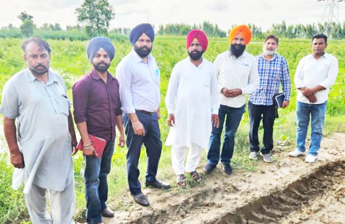 ਖੇਤੀਬਾੜੀ ਅਤੇ ਕਿਸਾਨ ਭਲਾਈ ਵਿਭਾਗ ਵੱਲੋਂ ਕੀਤਾ ਗਿਆ ਭਾਰੀ ਬਾਰਿਸ਼ਾਂ ਨਾਲ ਪ੍ਰਭਾਵਿਤ ਹੋਏ ਰਕਬੇ ਦਾ ਦੌਰਾ