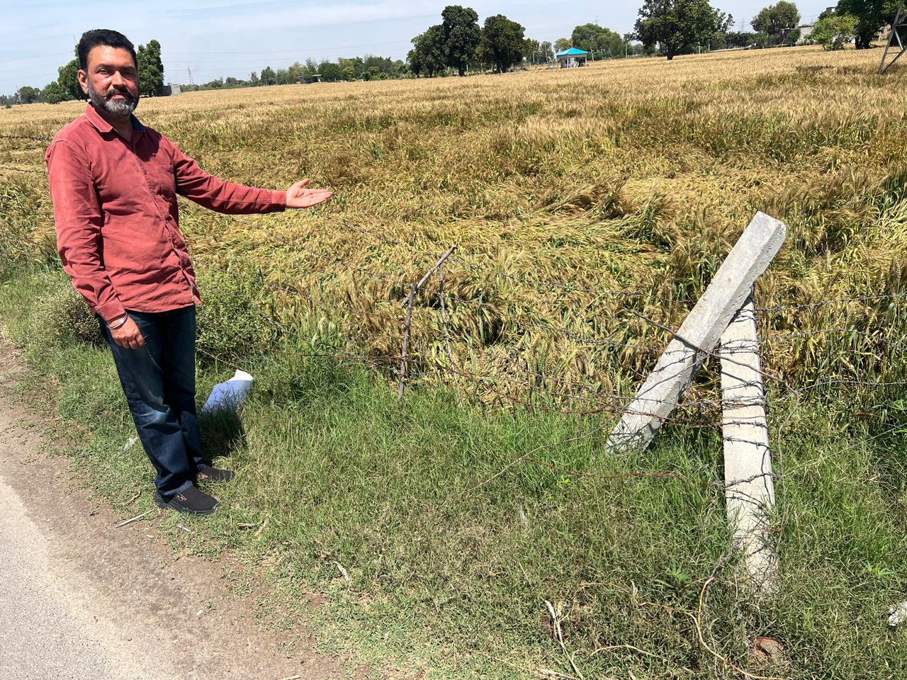 ਗੜਿਆਂ ਤੇ ਬਾਰਿਸ਼ ਨੇ ਕਿਸਾਨਾਂ ਦੀ ਸਾਲ ਭਰ ਦੀ ਮਿਹਨਤ ’ਤੇ ਫੇਰਿਆ ਪਾਣੀ : ਹਨੀ ਫੱਤਣਵਾਲਾ ਬਿਨਾਂ ਦੇਰੀ ਗਿਰਦਾਵਰੀ ਕਰਵਾਕੇ ਮੁਆਵਜ਼ਾ ਦੇਵੇ ਪੰਜਾਬ ਸਰਕਾਰ