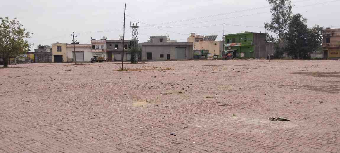 ਡਡਵਿੰਡੀ ਦੀ ਦਾਣਾ ਮੰਡੀ ਪਈ ਸੁੰਨੀ, ਕਿਸਾਨਾਂ ਵੱਲੋਂ ਵੱਡੇ ਪੱਧਰ ‘ਤੇ ਆਲੂਆਂ ਦੀ ਕਾਸ਼ਤ ਕਰਨ ਕਰਕੇ ਕਣਕ ਦੀ ਆਮਦ ਘੱਟ