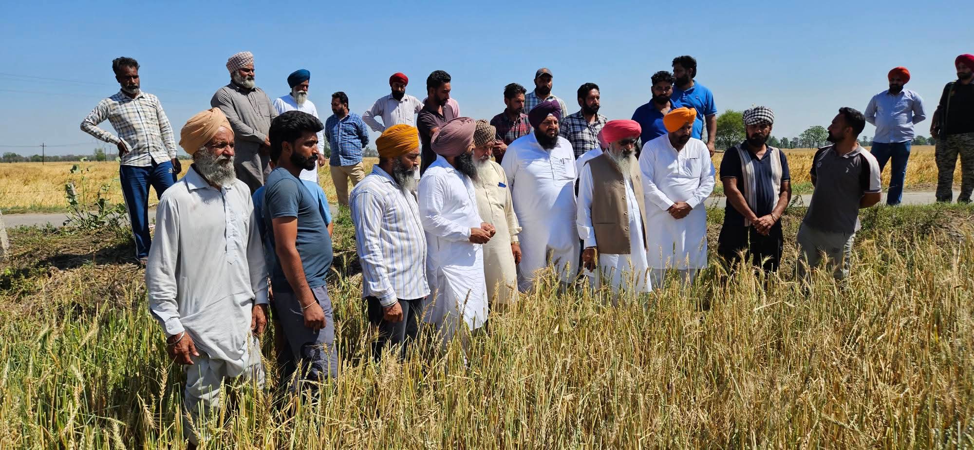 ਧਰਮਕੋਟ ‘ਚ ਕੁਦਰਤ ਦਾ ਕਹਿਰ: ਗੜੇਮਾਰੀ ਤੇ ਹਨੇਰੀ ਨਾਲ ਪੱਕੀਆਂ ਫ਼ਸਲਾਂ ਚੂਰ-ਚੂਰ, ਕਿਸਾਨਾਂ ‘ਤੇ ਟੁੱਟਿਆ ਆਰਥਿਕ ਕਹਿਰ : ਸਾਬਕਾ ਵਿਧਾਇਕ ਕਾਕਾ ਲੋਹਗੜ੍ਹ