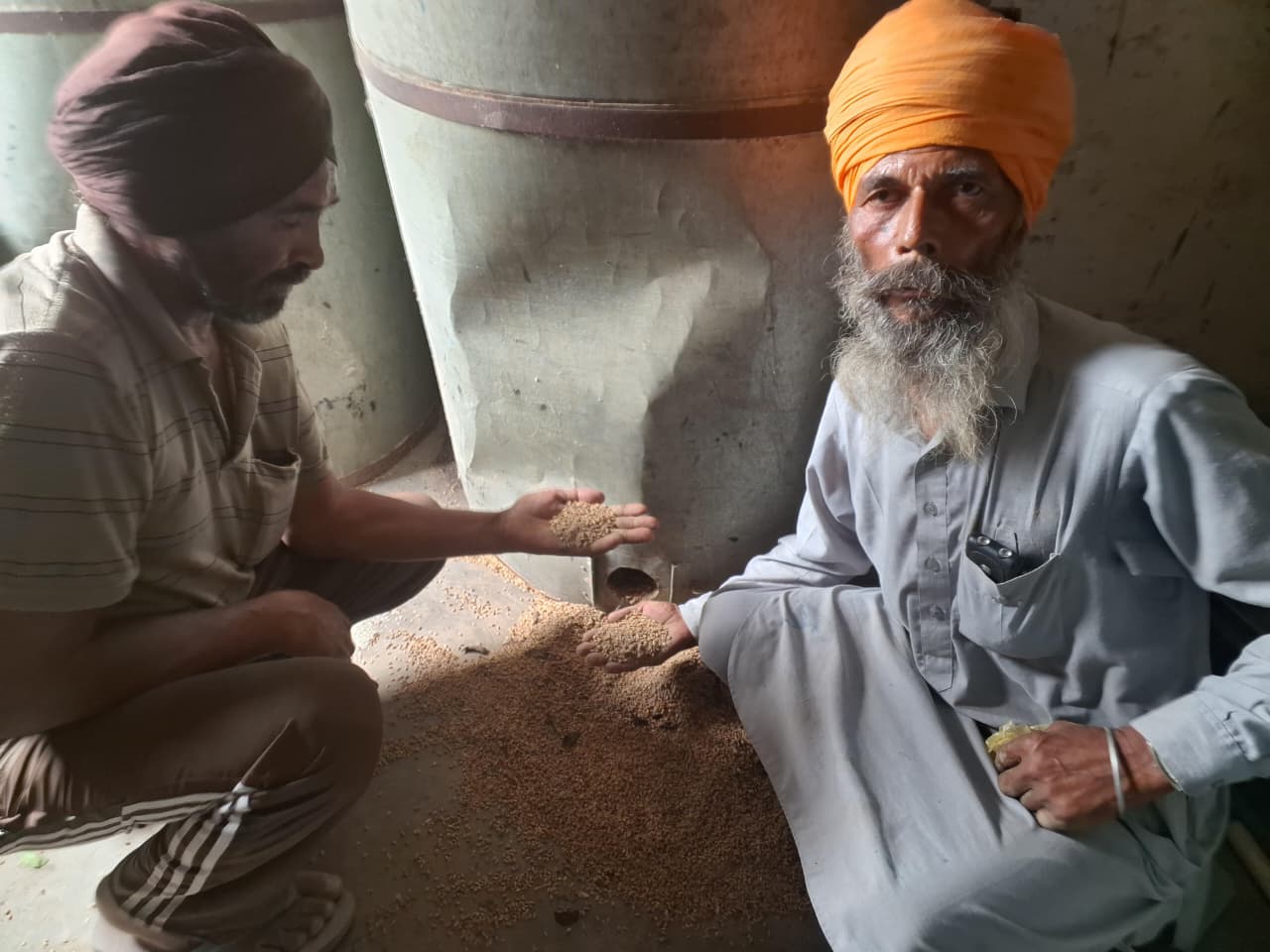 ਬੱਚਿਆਂ ਦੀ ਥਾਲੀ ਤੱਕ ਪਹੁੰਚਣ ਤੋਂ ਪਹਿਲਾਂ ਹੀ ਸੜਿਆ ਅਨਾਜ, ਜ਼ਿੰਮੇਵਾਰੀ ‘ਤੇ ਸਵਾਲ ਖਰਾਬ ਕਣਕ ਤੇ ਚਾਵਲ ਮਿਲਣ ‘ਤੇ ਪਿੰਡ ਵਾਸੀਆਂ ਵਿੱਚ ਰੋਸ; ਮੁੱਖ ਅਧਿਆਪਕ ਨੇ ਪ੍ਰਬੰਧਕੀ ਕਮੀ ਮੰਨੀ
