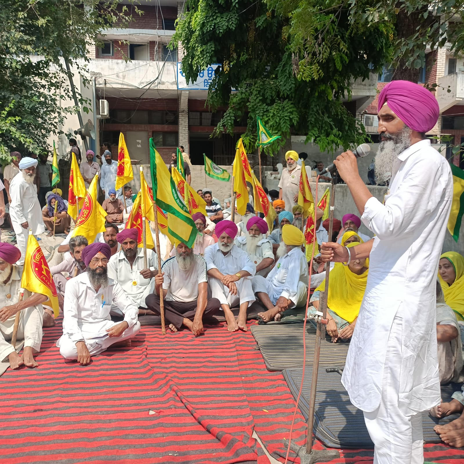 ਪਿੰਡ ਮਾਛੀਕੇ ‘ਚ ਬੇ-ਮੌਸਮੀ ਬਰਸਾਤ ਤੇ ਗੜੇਮਾਰੀ ਕਾਰਨ ਫਸਲਾਂ ਹੋਈਆ ਸਨ ਤਬਾਹ ==== ਮੁਆਵਜ਼ਾਂ ਨਾ ਮਿਲਣ ਤੇ ਐਸ ਡੀ ਐਮ ਦਫ਼ਤਰ ਅੱਗੇ ਧਰਨਾ ====