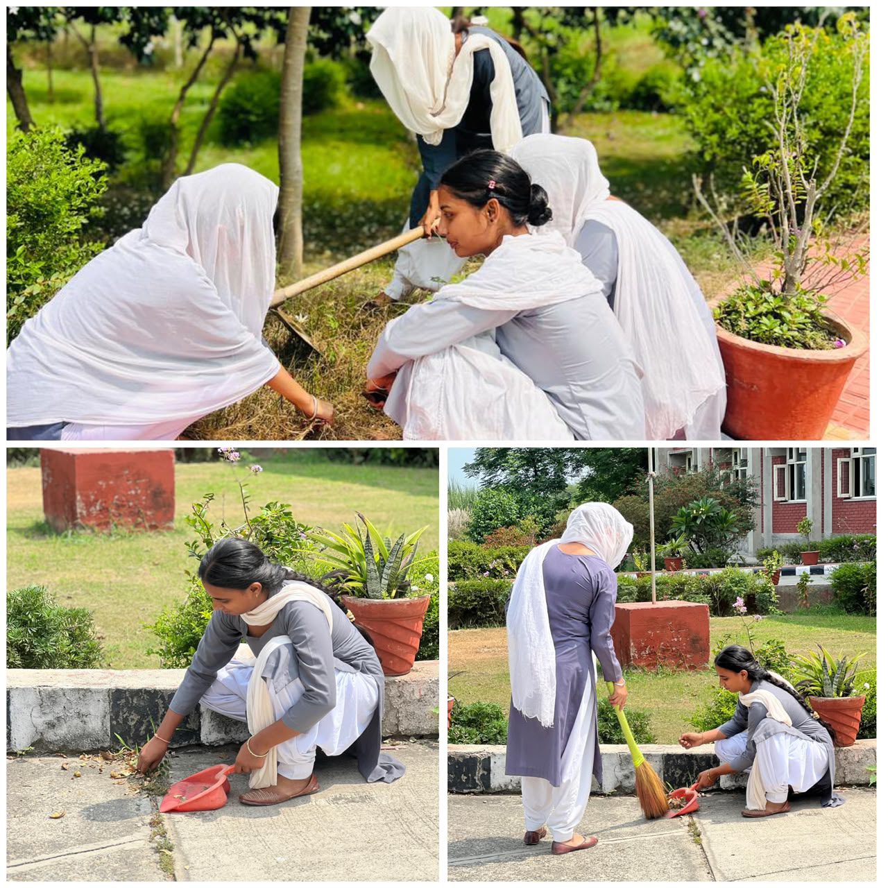ਐਨ.ਐੱਸ.ਐੱਸ. ਦਿਵਸ ਮੌਕੇ ਵਾਤਾਵਰਨ ਸੰਭਾਲ ਸਬੰਧੀ ਸੈਮੀਨਾਰ ਅਤੇ ਰੁੱਖ ਲਗਾਉਣ ਦੀ ਮੁਹਿੰਮ