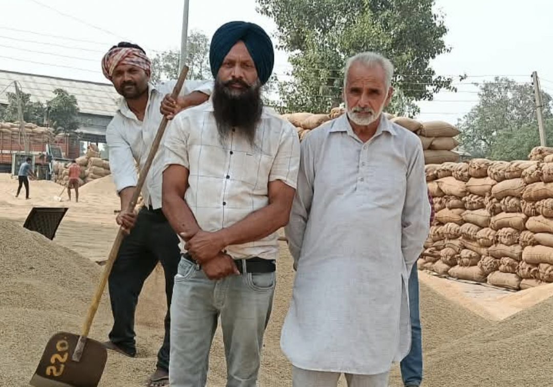 ਕਣਕ ਦੇ ਭਾਅ ‘ਚ ਸਿਰਫ 25 ਰੁਪਏ ਵਾਧਾ ਅੰਨਦਾਤੇ ਨਾਲ ਕੋਝਾ ਮਜ਼ਾਕ – ਕੁੱਲ ਹਿੰਦ ਕਿਸਾਨ ਸਭਾ